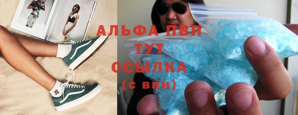 прущие грибы Нея