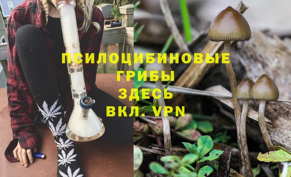 спайс Абдулино