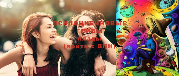 соль ск Нефтегорск